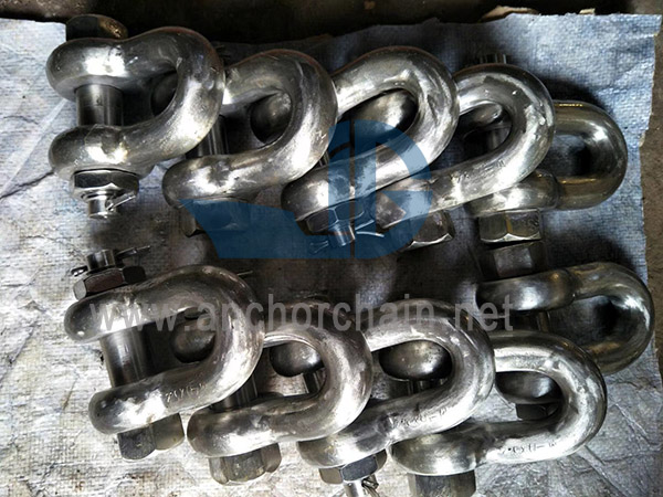 US Secuty Dee Shackles G2150